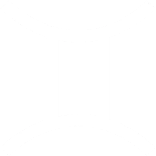 Gemini (Mithun)